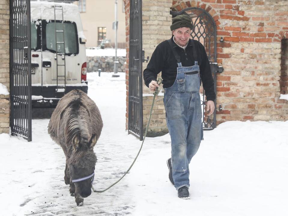 Asiliukas ir avytės Bernardinų bažnyčioje