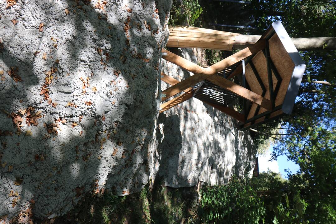 Zoologijos sodo renovacijos užkulisiai