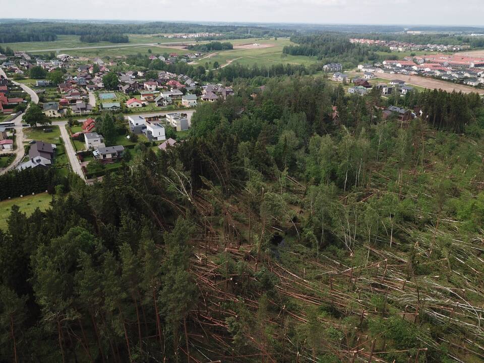 Nemenčinėje pradėtas tvarkyti audros nusiaubtas miškas