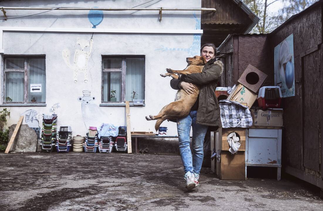 Lvive prieglobstį randa ir keturkojai karo pabėgėliai