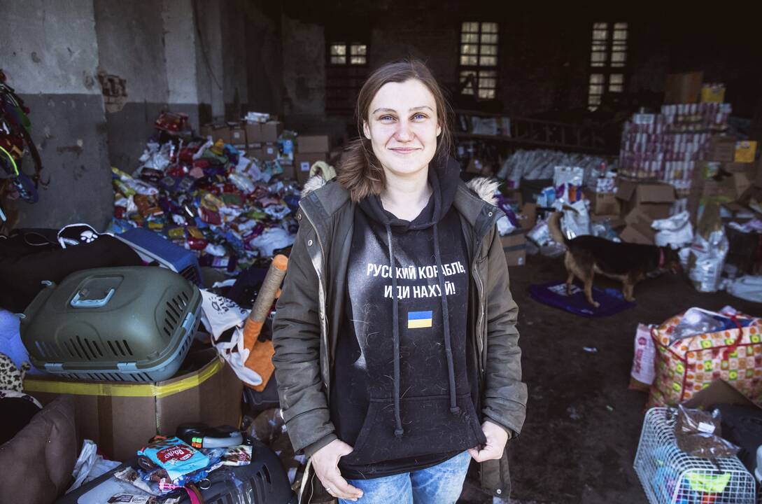 Lvive prieglobstį randa ir keturkojai karo pabėgėliai