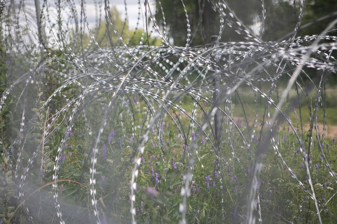 Pasienyje su Baltarusija apgręžti devyni neteisėti migrantai