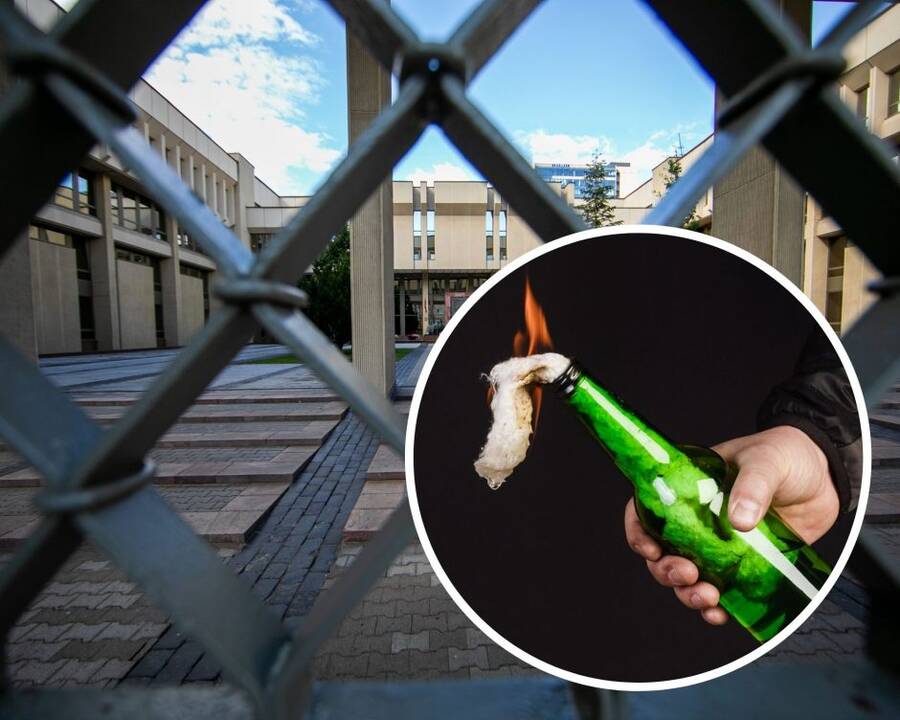 Bus teisiamas į Seimo pastatą padegamuosius mišinius ir akmenis mėtęs vilnietis