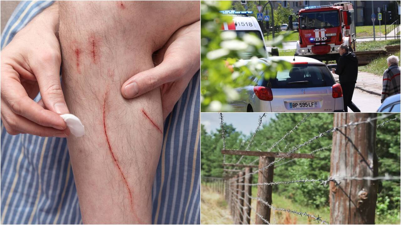 Paryčių detektyvas: neblaivus tvoros kalinys sukėlė ant kojų kaimynus, o šie – tarnybas