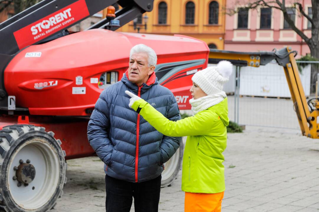 Kauno kalėdinės eglutės pristatymas