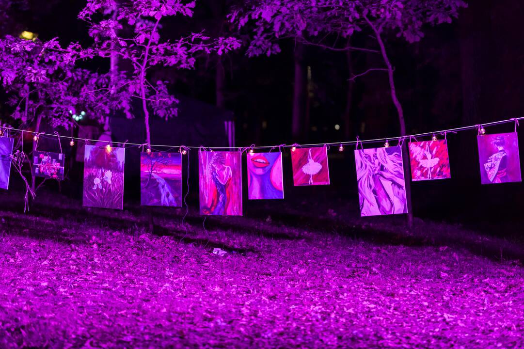 Naktinis kopimas į Parodos kalną 