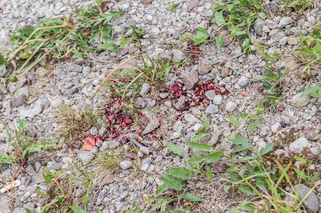 Nelaimė „Akropolio“ prekybos centro aikštelėje