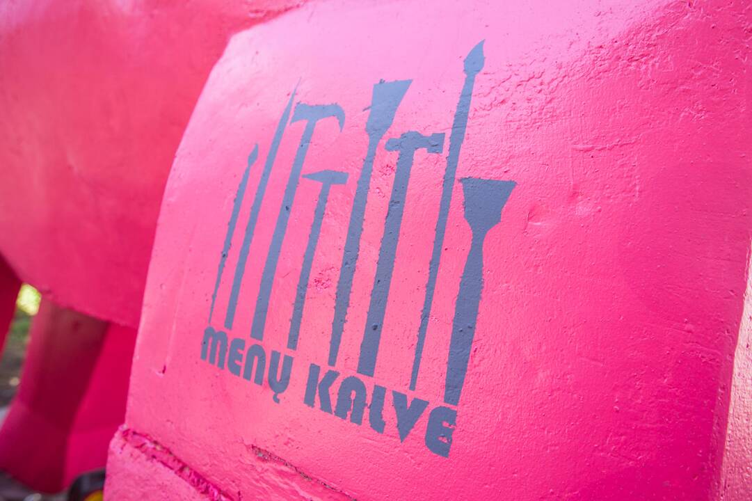 Kaune apsigyveno rožinis dramblys