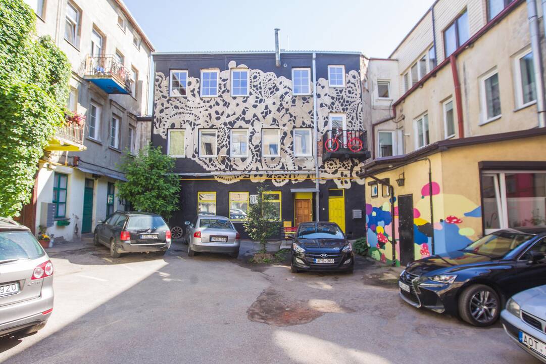 Kaune apsigyveno rožinis dramblys