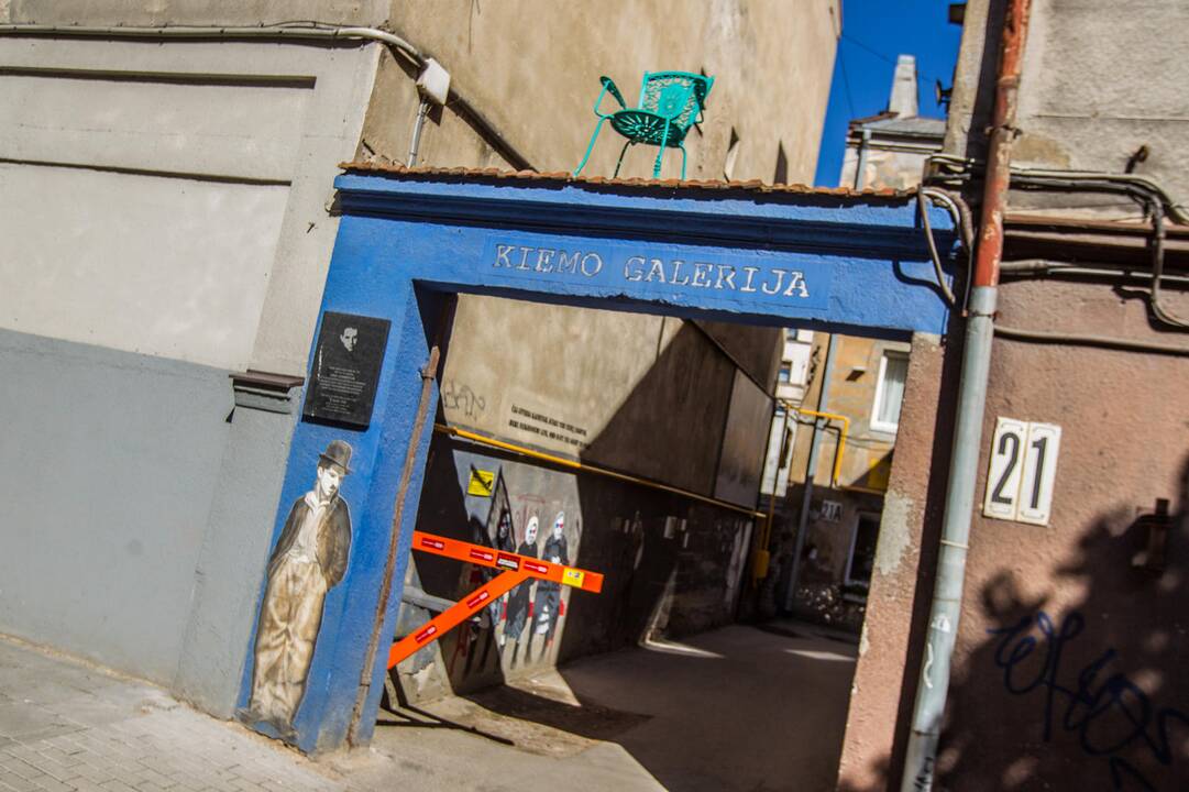 Kaune apsigyveno rožinis dramblys