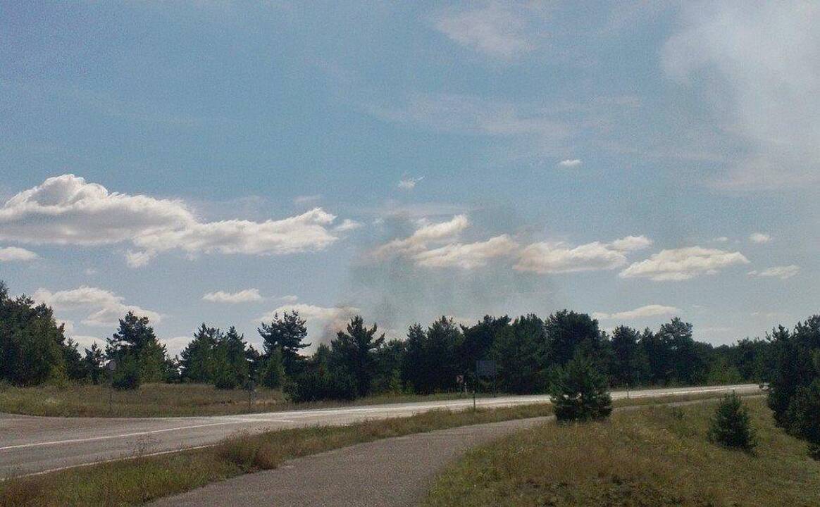 Kuršių nerijos miškais rūpinsis Kretingos miškų urėdija