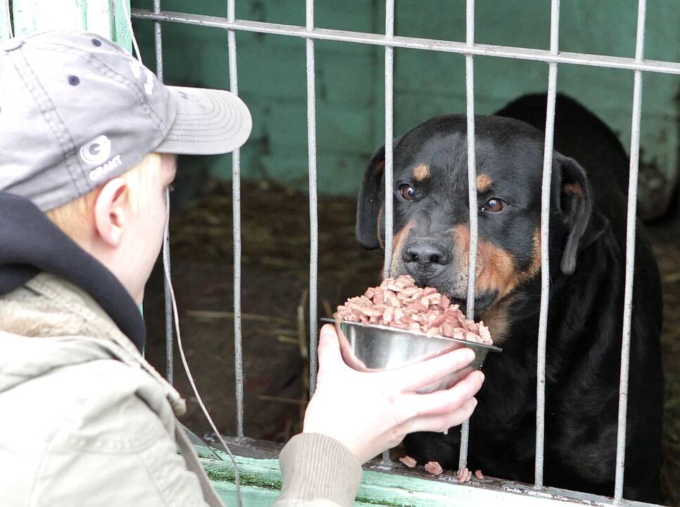 Teisininkai siūlo suteikti daugiau galių Gyvūnų gerovės kontrolieriui