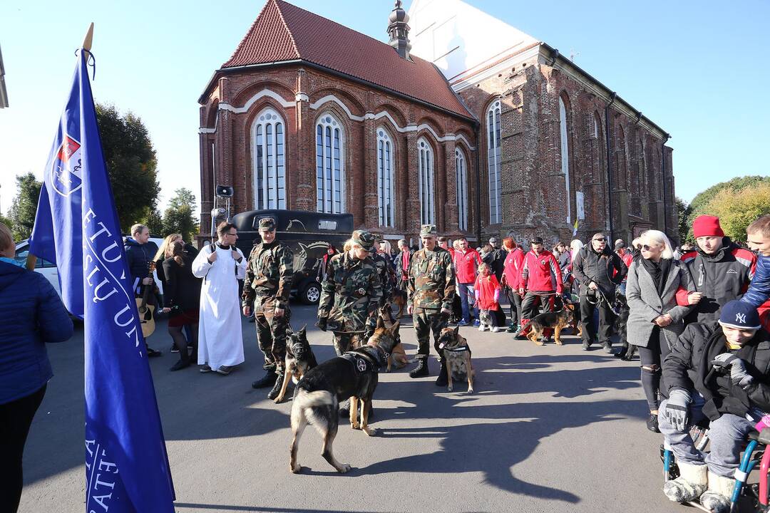 Gyvūnų diena Kaune