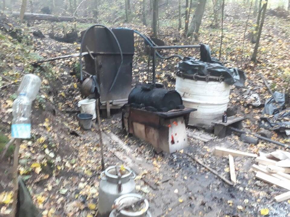 Naminę virusi moteris: gaminau sau