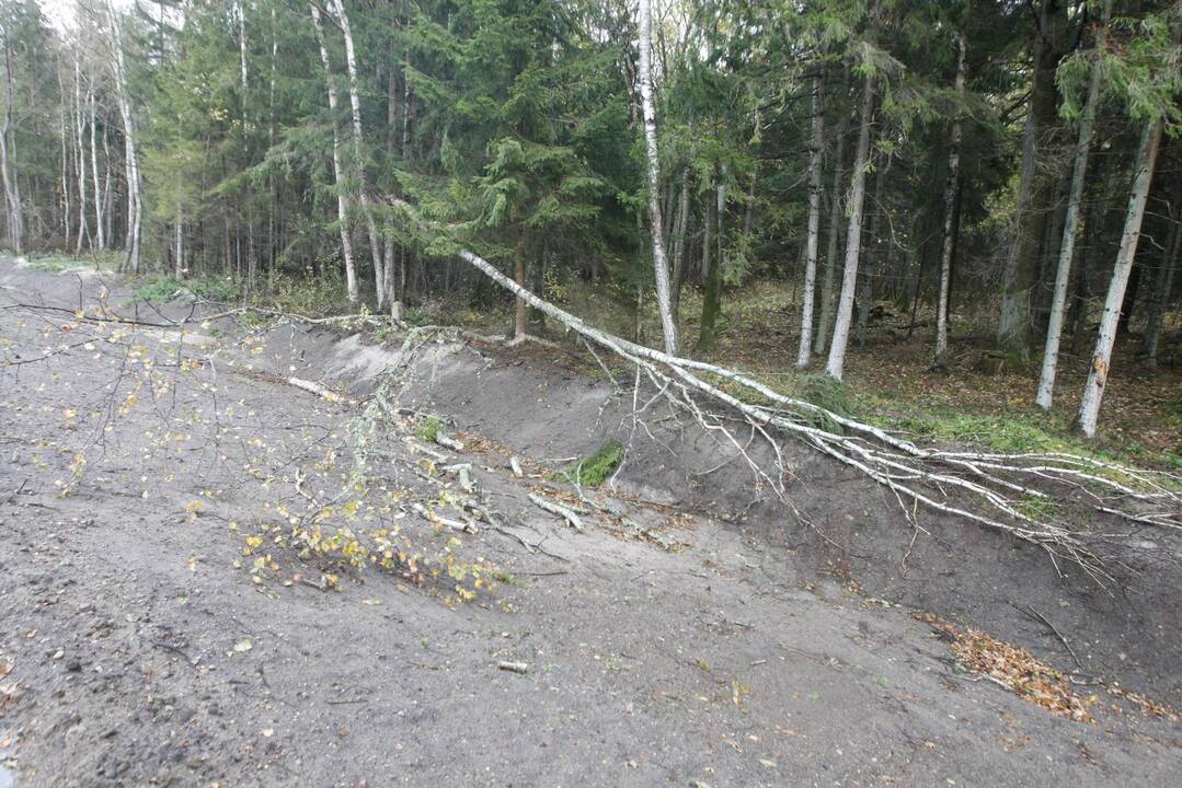 Vėtra uostamiestyje