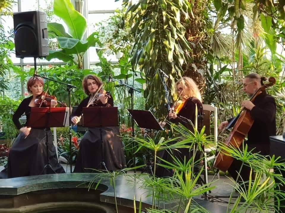Adventą pasitiks su muzika