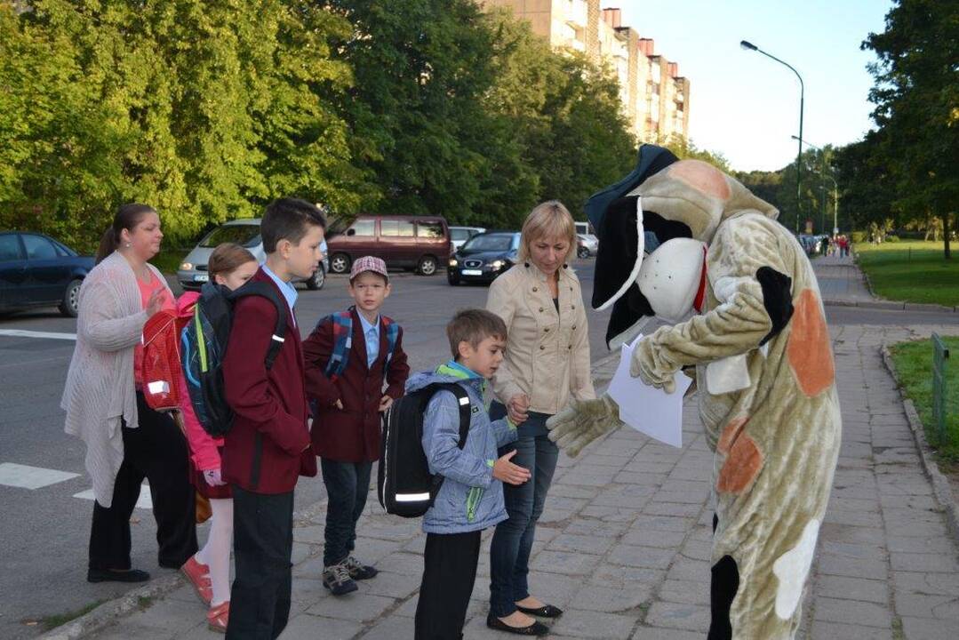 Įgūdžiai: kaip saugiai keliauti į mokyklą jauniesiems klaipėdiečiams nuotaikingai priminė ir šuo Amsius.