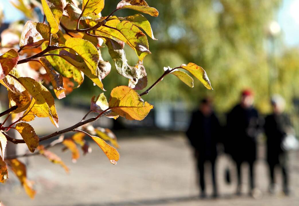 Sinoptikai: saulės bus mažiau