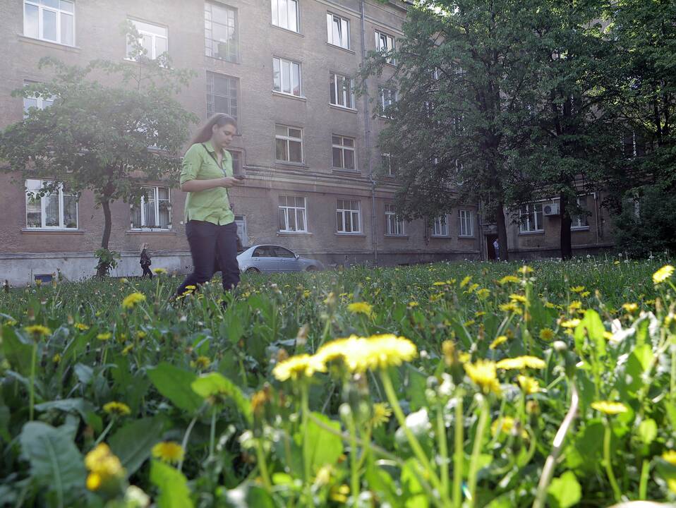 Išvengė: klaipėdiečiams kol kas nereikės patiems rūpintis nei kiemų šienavimu, nei šiukšlių rinkimu.