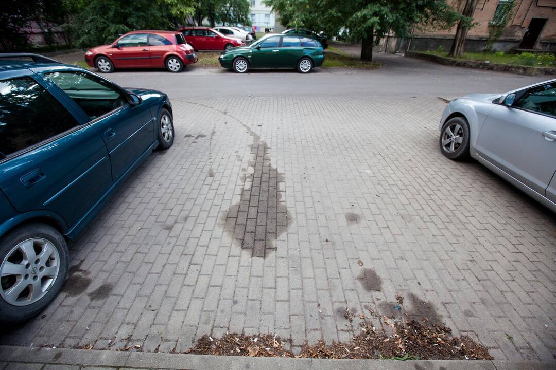 Pėdsakai: naktį iš kiemo išvairuotas "Volvo" paliko išvarvėjusių degalų taką, rodantį, kur jis sustojo.