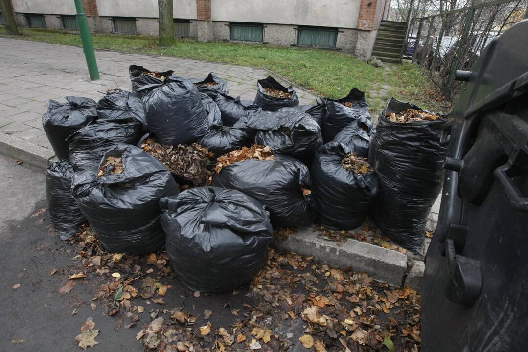 Gyventojai piktinasi neišvežtais lapais