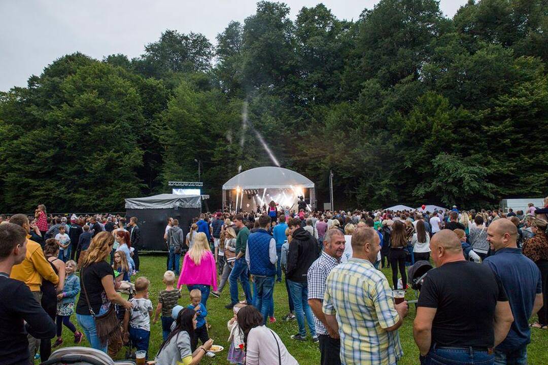 Masinės muštynės Veiviržėnuose prasidėjo koncerto scenos užkulisiuose, kur laiką leido žinomos atlikėjų grupės "Pop Ladiens" ir "Rondo", tačiau nė vienas atlikėjas jų metu nenukentėjo.