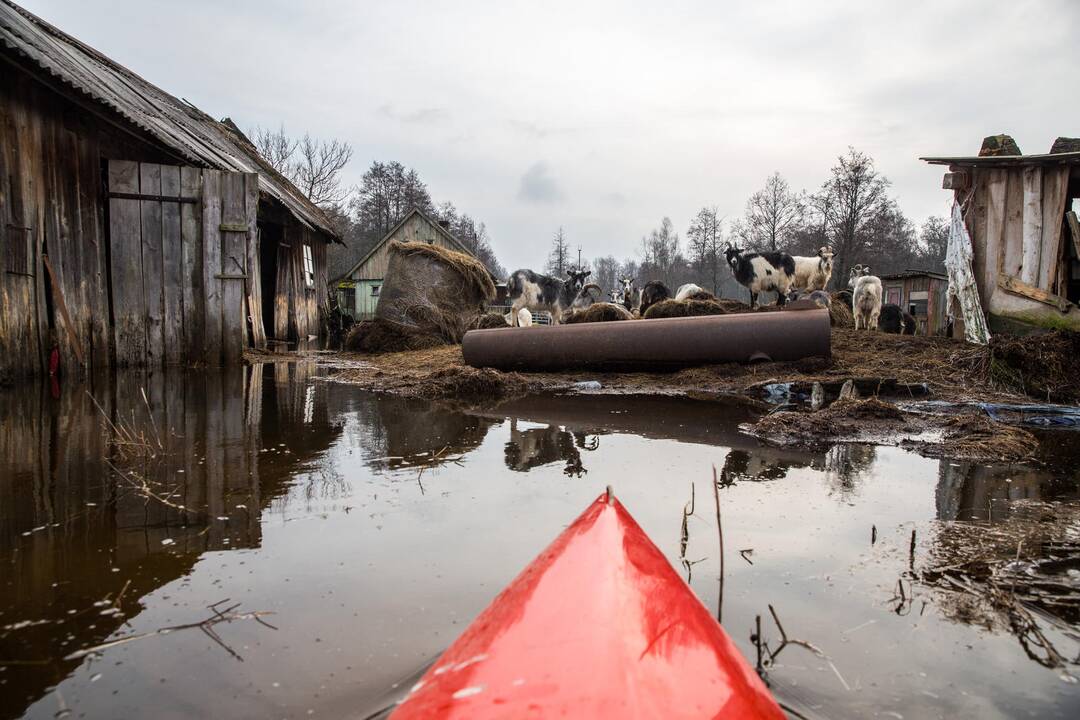 Vandens lygis pamario upėse kai kur pasiekė stichinį lygį