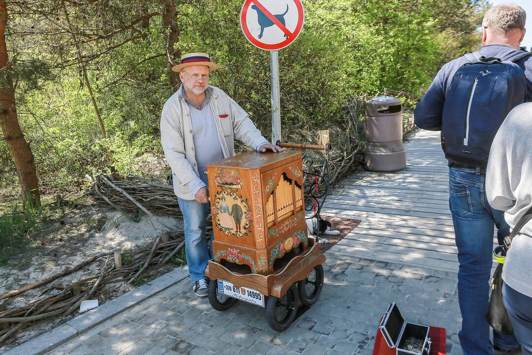 Nuotaika: sukami vargonėliai poilsiautojams atrodo tikra egzotika – pirmąkart matantieji šį daiktą su nuostaba apžiūri, fotografuoja V.Vyšniauską.