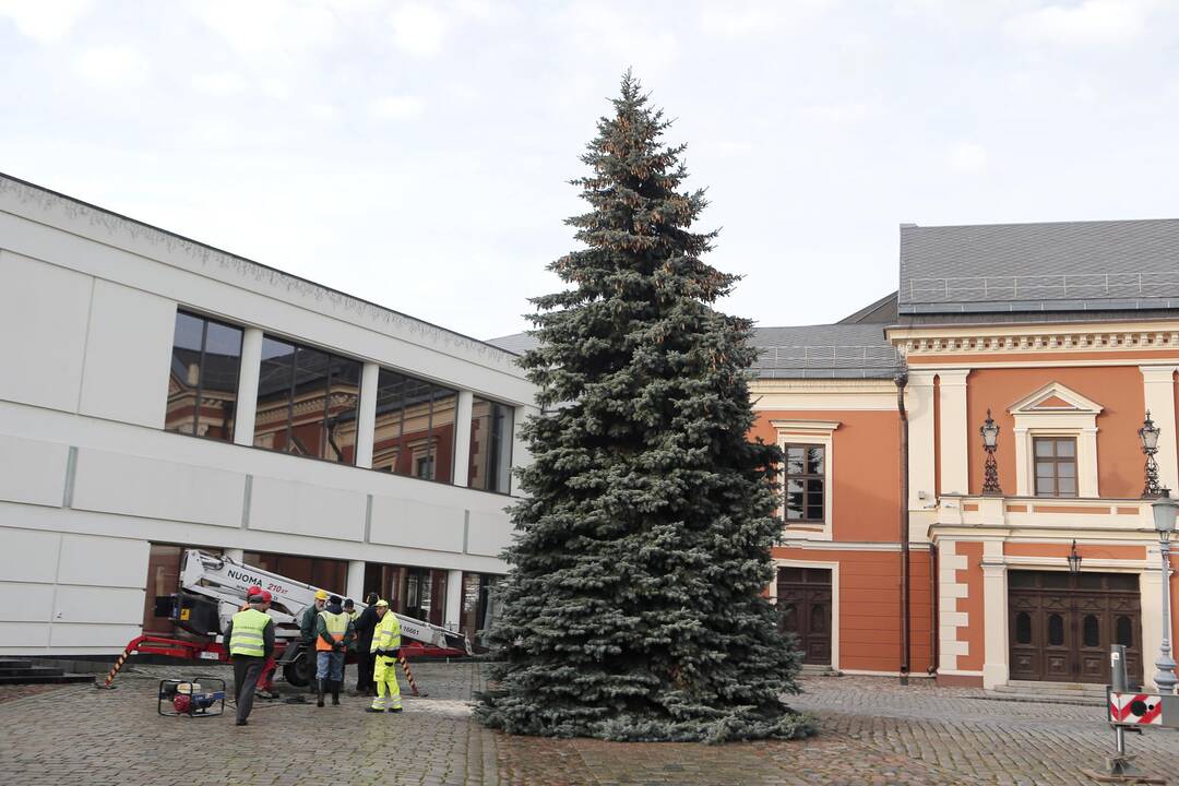 Simbolis: Teatro aikštėje jau stovi eglutė ir laukia įžiebimo šventės.