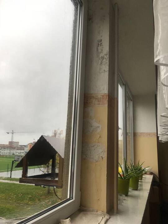 Klaipėdos savivaldybė gavo grėsmingą "Pajūrio" progimnazijos mokinių tėvų raštą – tikinama, jog dėl pelėsiu užkrėstos aplinkos vienoje klasių net ketvirtadaliui moksleivių galima įtarti bronchinę astmą.