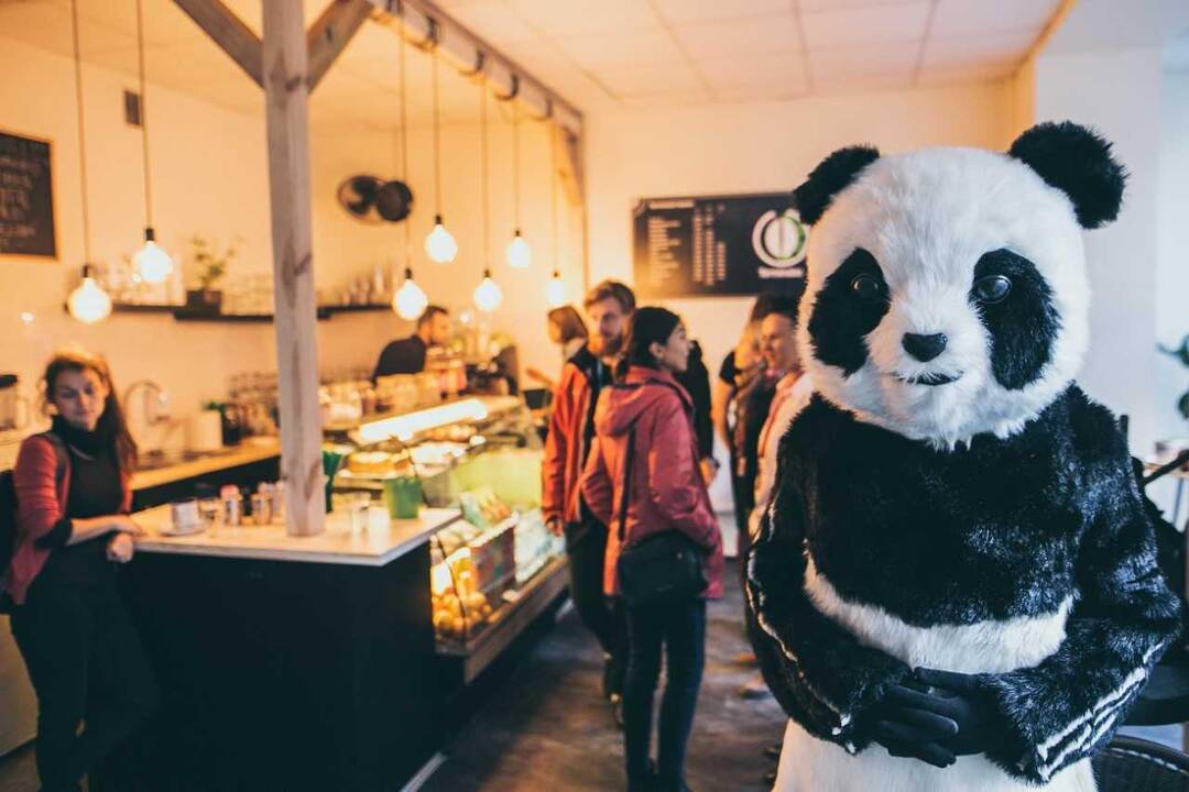 Klaipėdos lėlių teatro žingsniai 2019-aisiais