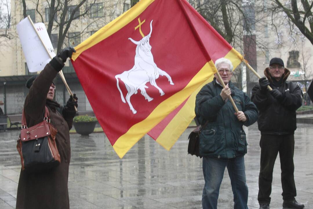Prie Vyriausybės - reikalavimai atstatyti tiltą
