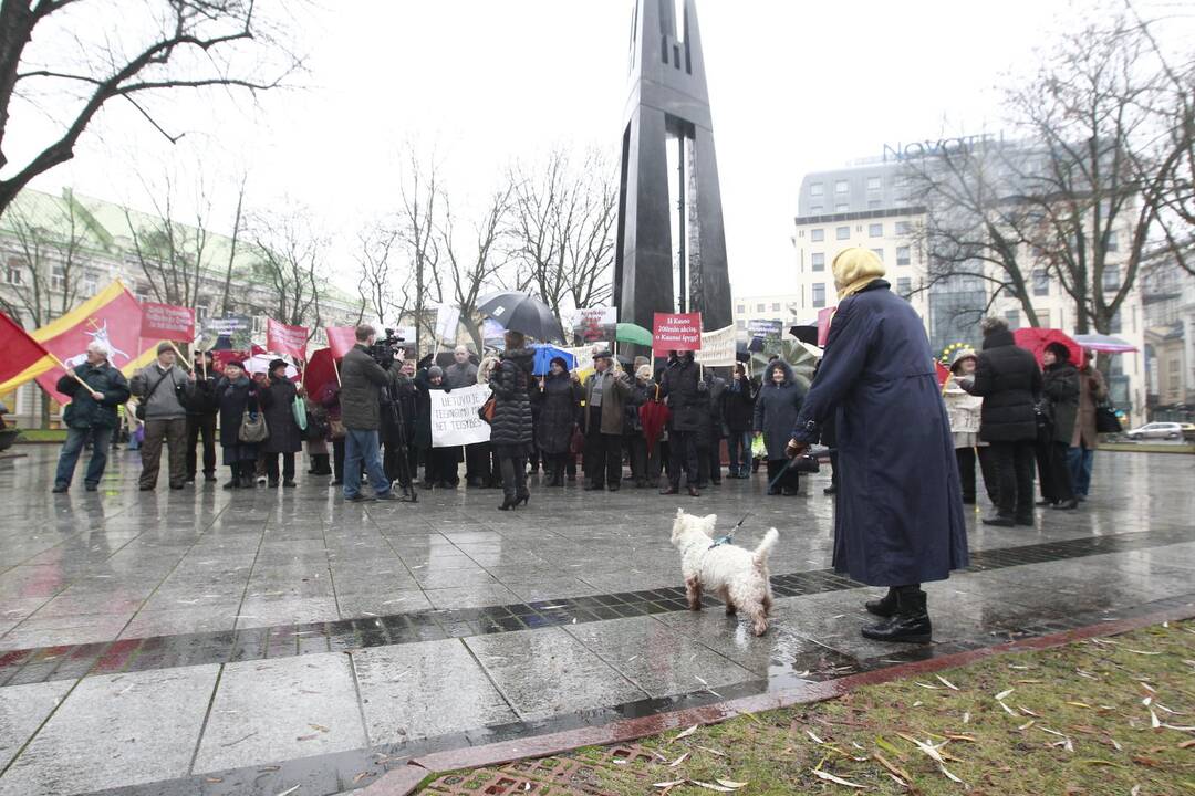 Prie Vyriausybės - reikalavimai atstatyti tiltą