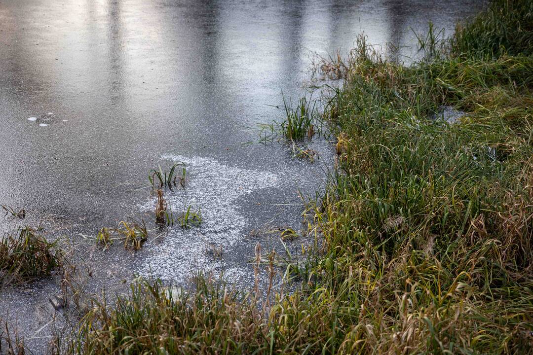 Vyras į tvenkinį mėtė magnetą ir ištraukė 21 šovinį