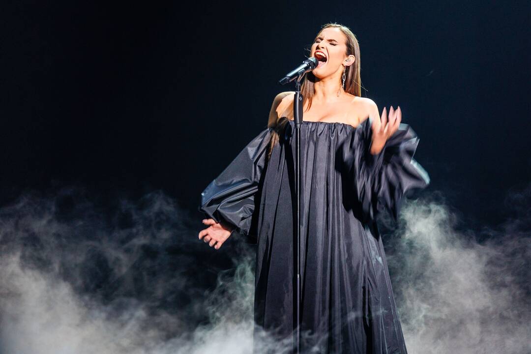 „Eurovizijos“ atrankos finalo akimirkos
