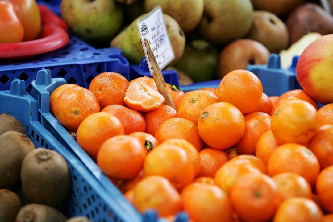 Kretingoje pirmą kartą rengiamos mandarinų valgymo varžybos