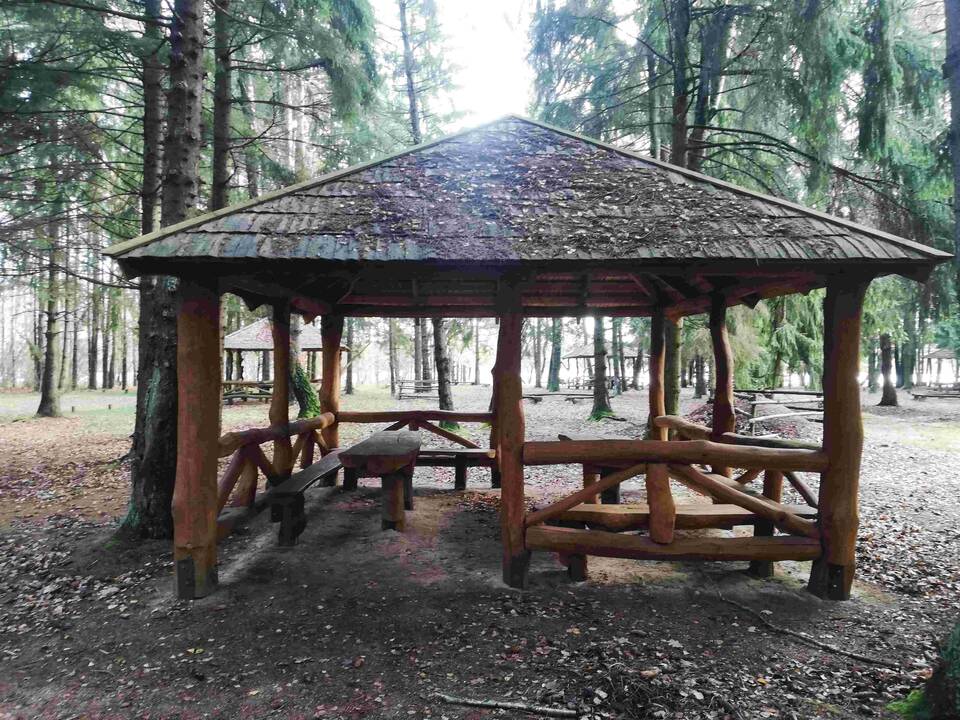 Erdvu: Lakštingalų slėnis, 2,9 ha plotą užimanti stovyklavietė ant Akmenos upės kranto, – puiki vieta poilsiui.