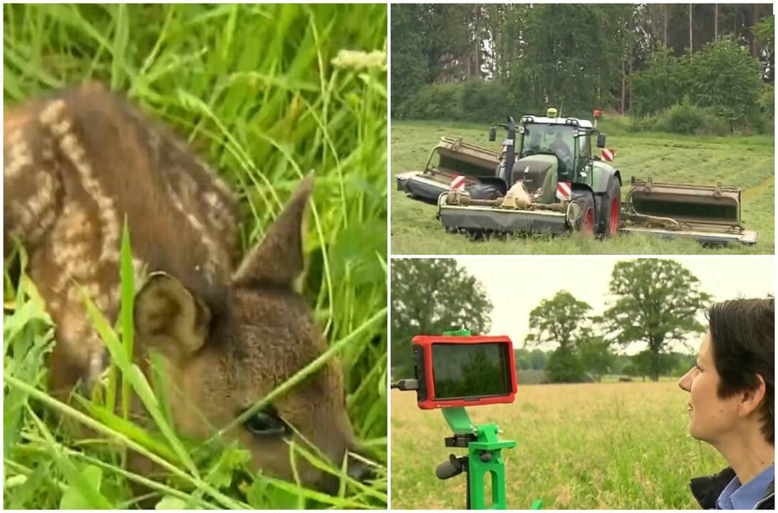 Gyvūnų jauniklių gelbėjimui pasitelktas naujas būdas