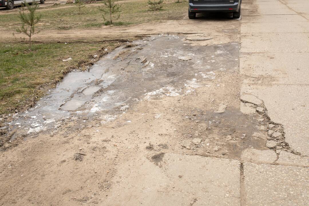 Problemos P. Lukšio gatvėje 