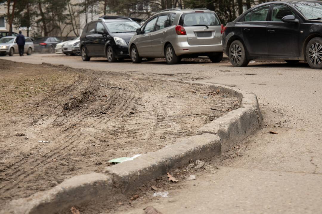 Problemos P. Lukšio gatvėje 