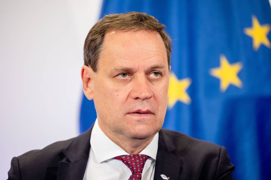 V. Tomaševskis ir R. Tamašunienė po EP rinkimų