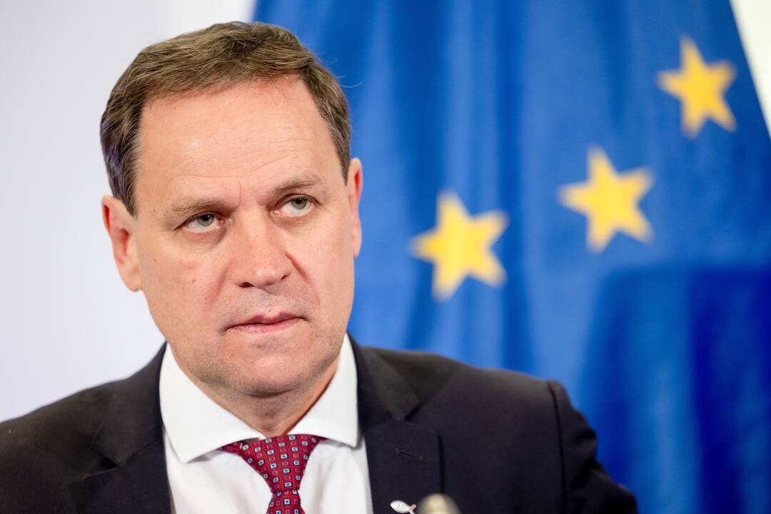V. Tomaševskis ir R. Tamašunienė po EP rinkimų