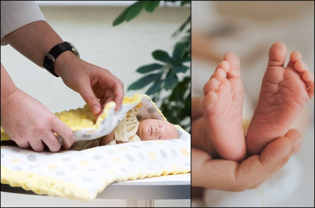 Viena savivaldybė šeimas džiugins didesne išmoka: prakalbo meras