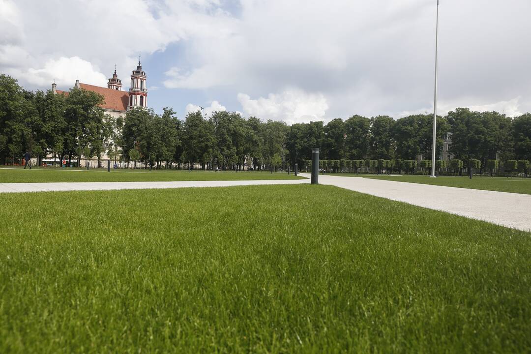 Vejos priežiūros patarimai: pavydės net kaimynai
