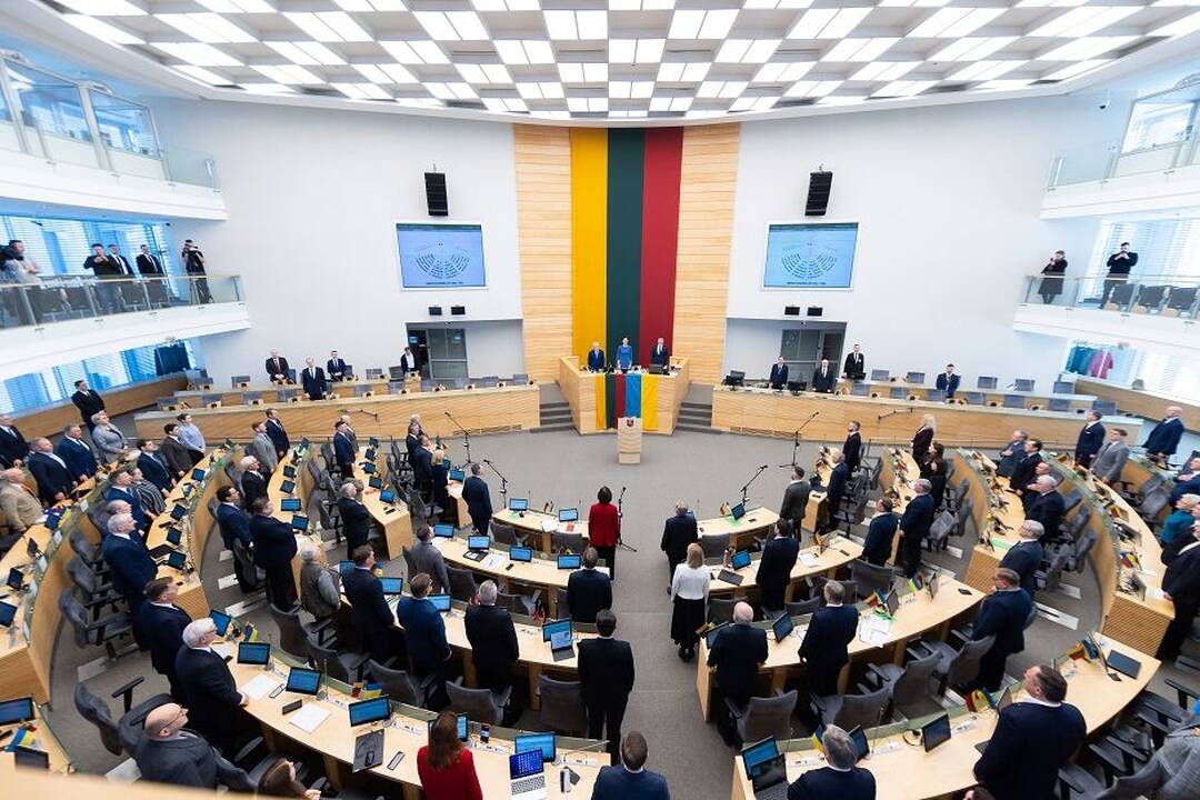 Seimui teiks pataisas, skirtas palengvinti A kategorijos ginklų pirkimų Ukrainai organizavimą