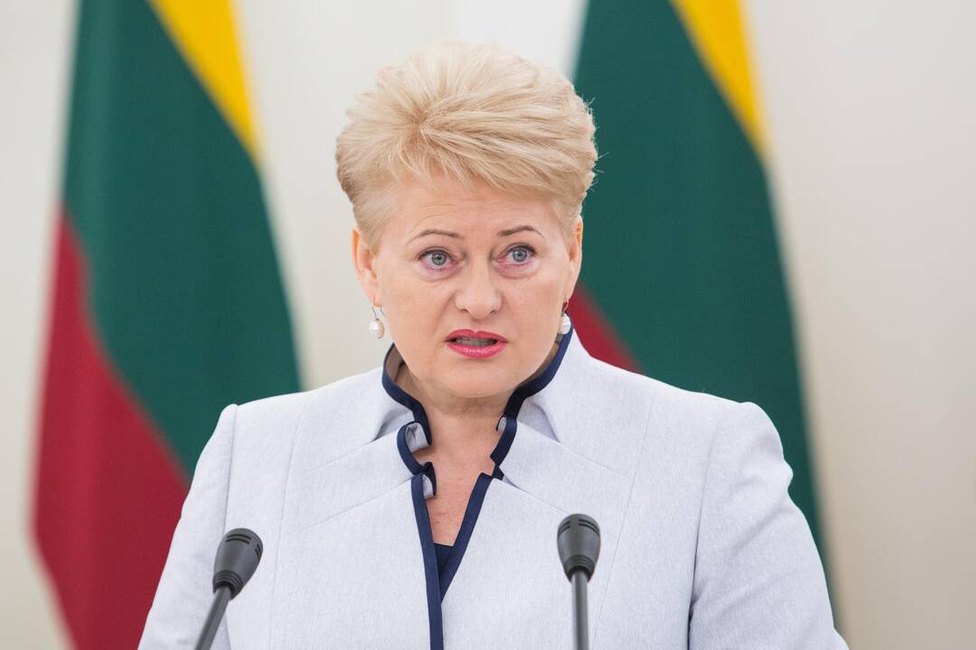 Prezidentė vetavo įstatymą, kuris leistų Seimo pirmininkei siūlyti daugiau VTEK narių
