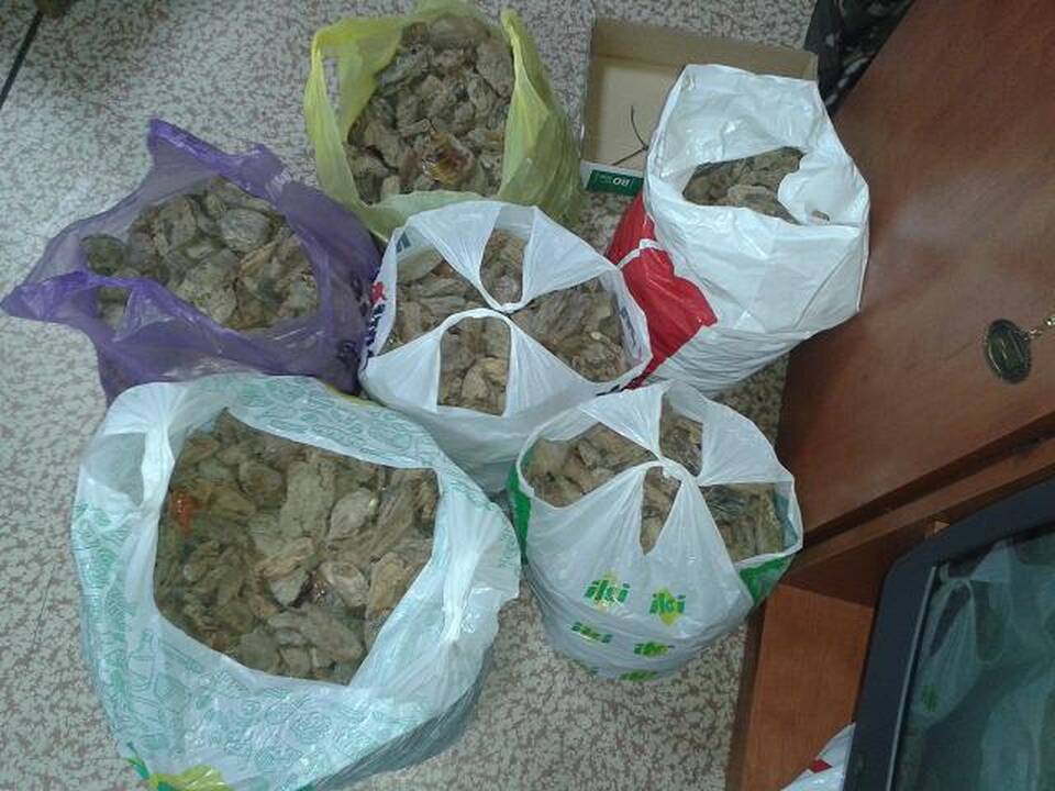 Į Lietuvą Nemunu vėl bandyta atplukdyti gintaro krovinį
