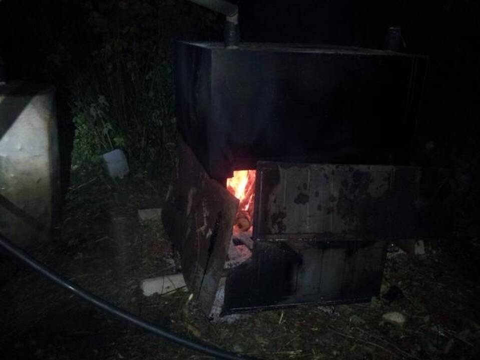 Naminę degtinę raseiniškiai "pagardino" karvės dvėseliena