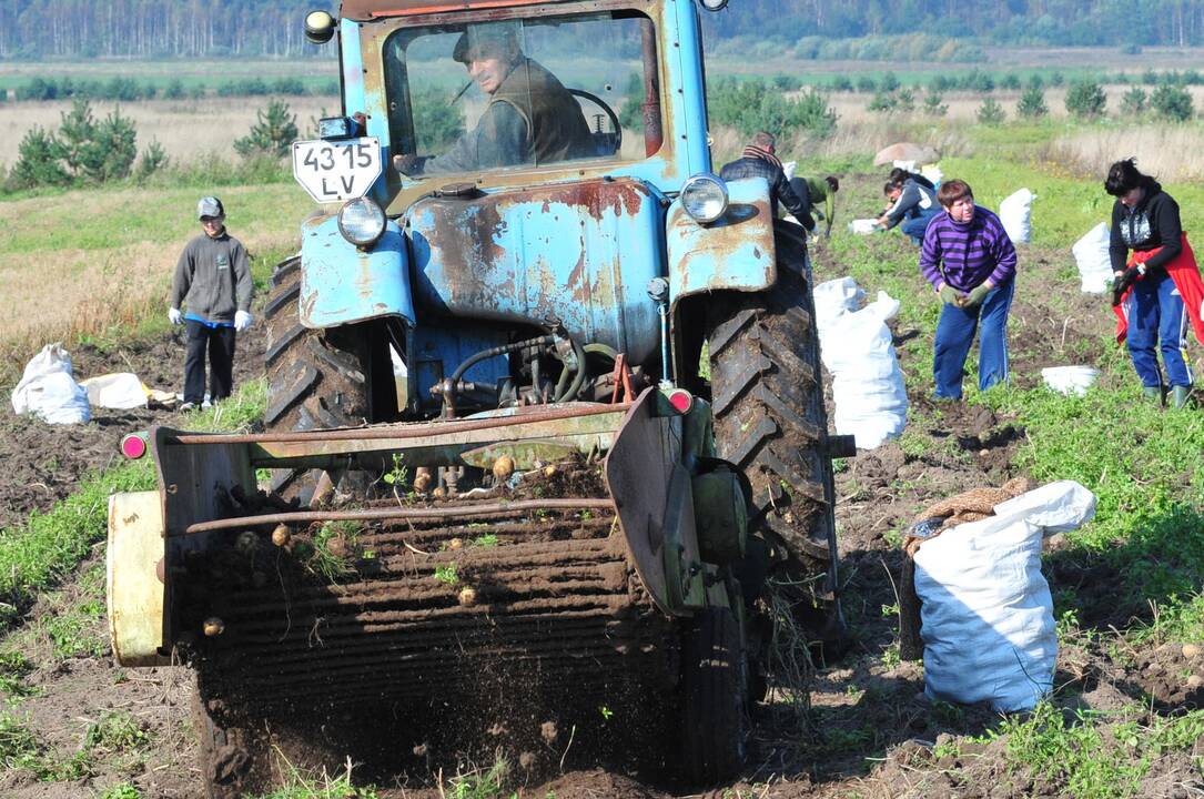 Toliau tarsis, kaip numaldyti spekuliacijas žeme