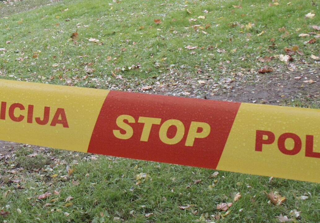 Ekspertai stringantį turto konfiskavimą siūlo spręsti civilinėse bylose